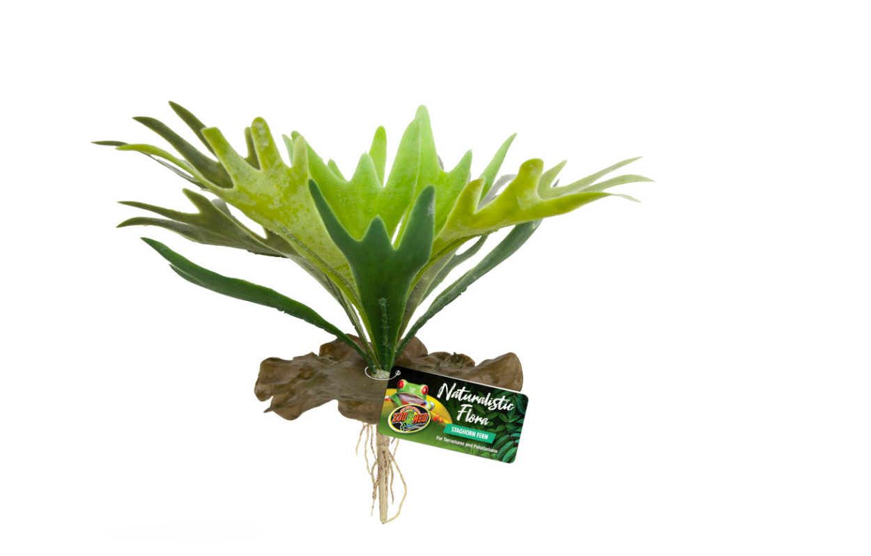 Zoo Med Naturalistic Flora Staghorn Fern Terrarium Plant