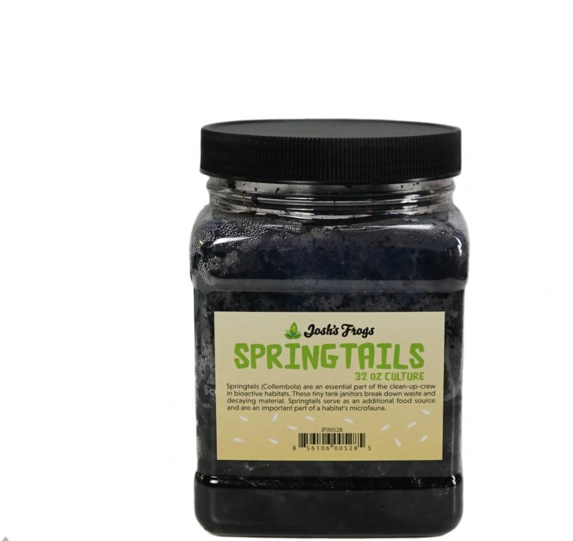 Josh's Frogs Temperate Springtail (Collembola) Culture (32 oz.)