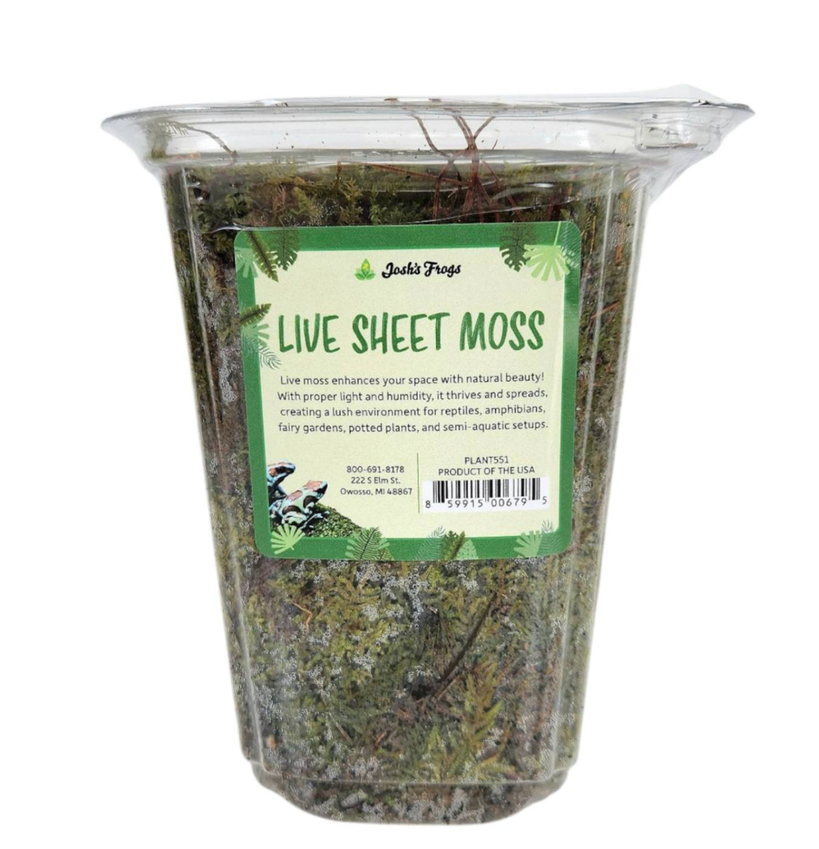 Josh's Frogs Live Sheet Moss | Medium