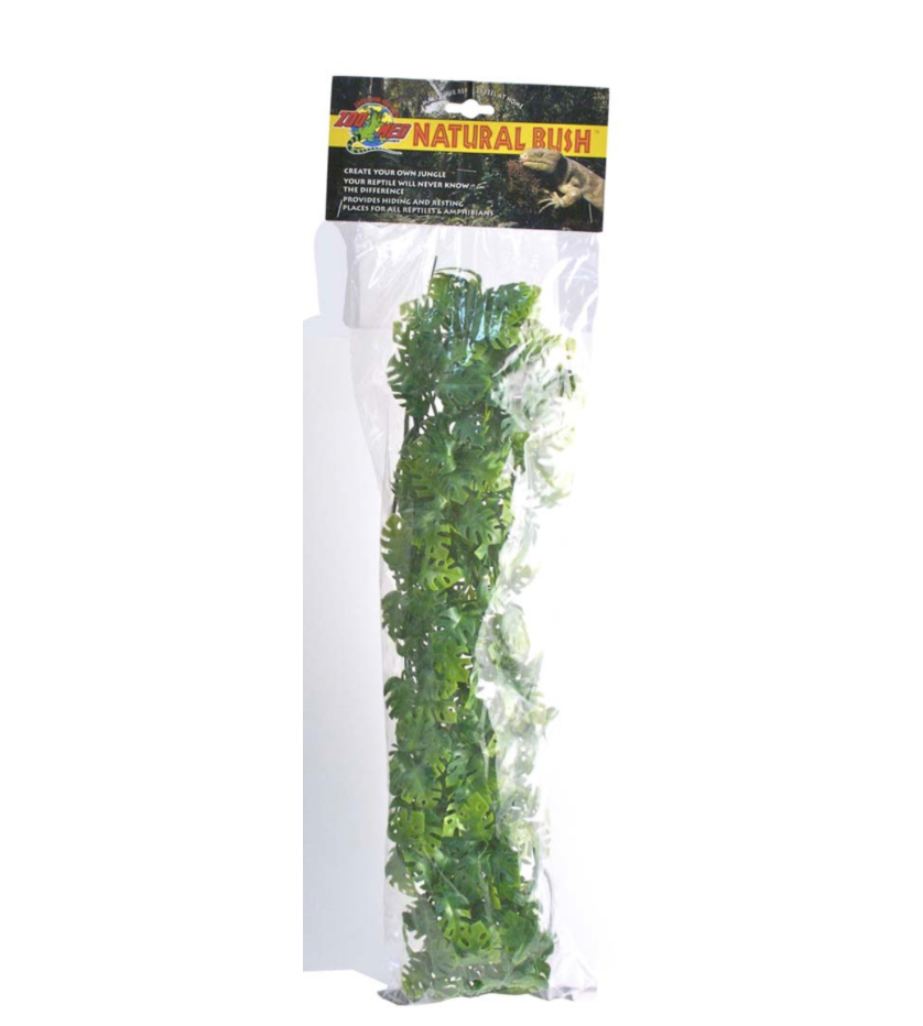 Zoo Med Natural Bush Plants Amazonian Phyllo Large