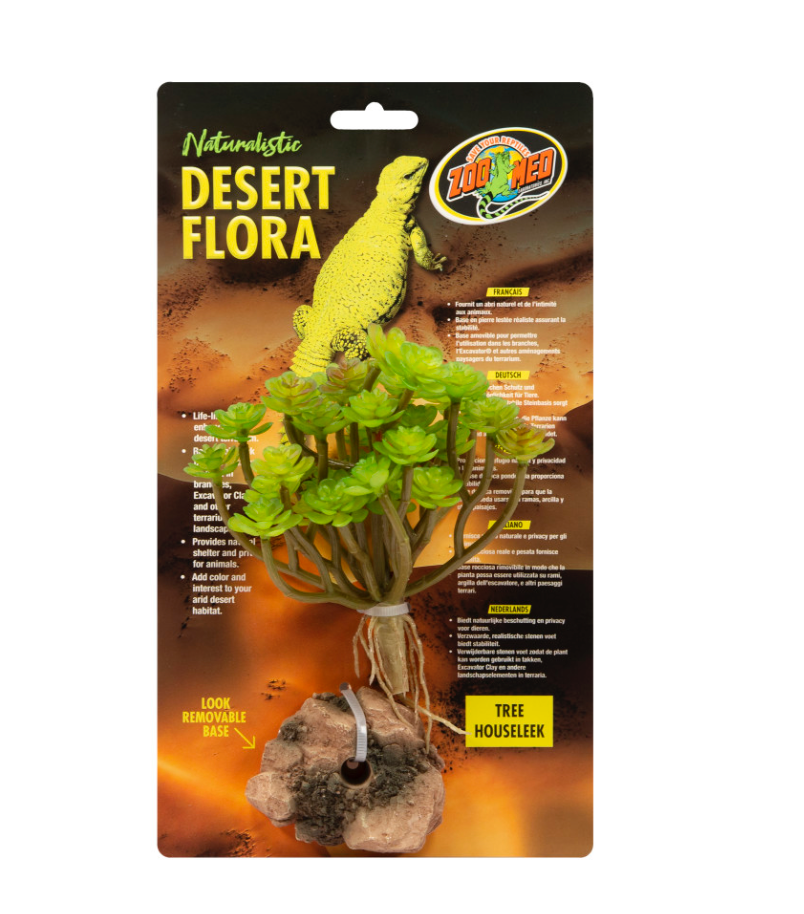 Zoo Med Desert Plant Tree Houseleek