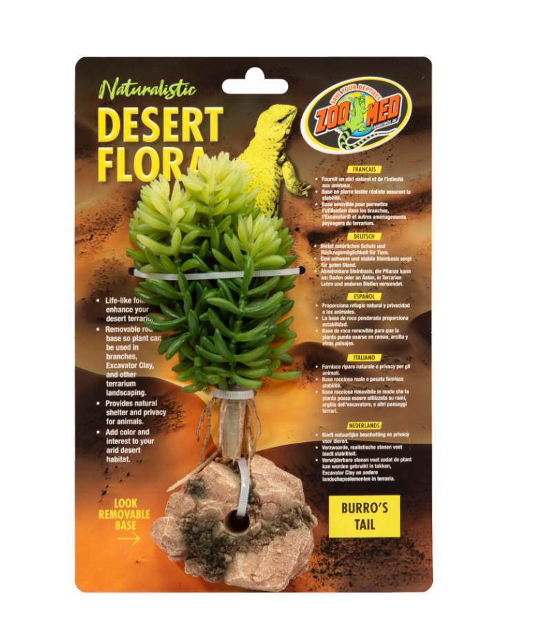 Zoo Med Desert Plant Burro's Tail