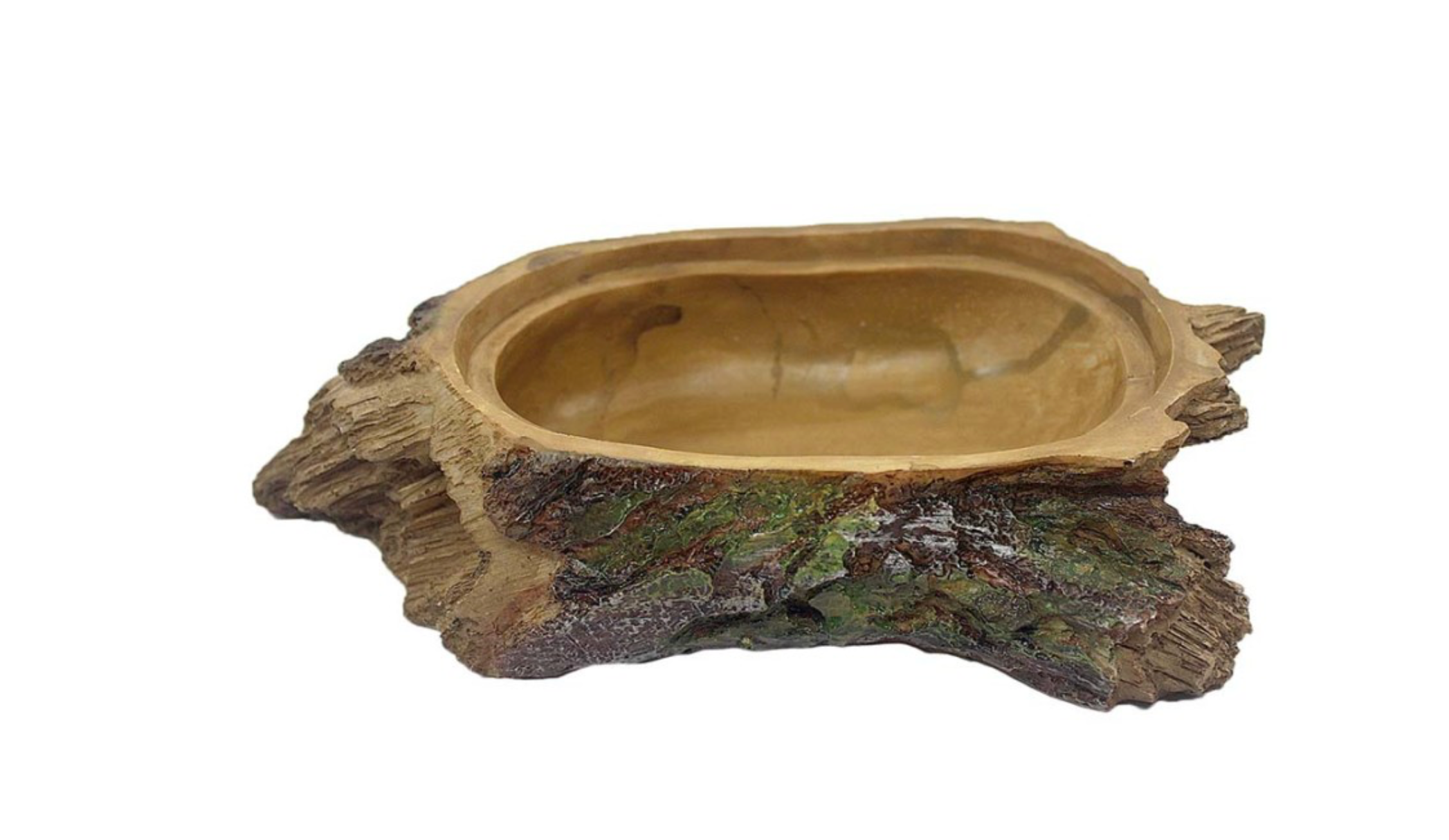 Komodo Forest Den Reptile Hideout Brown, Green, 1ea/One Size