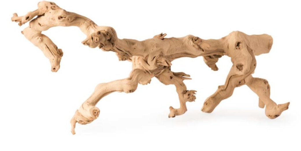 Galapagos Walking Wood Grapevine Branch Natural 19-24in