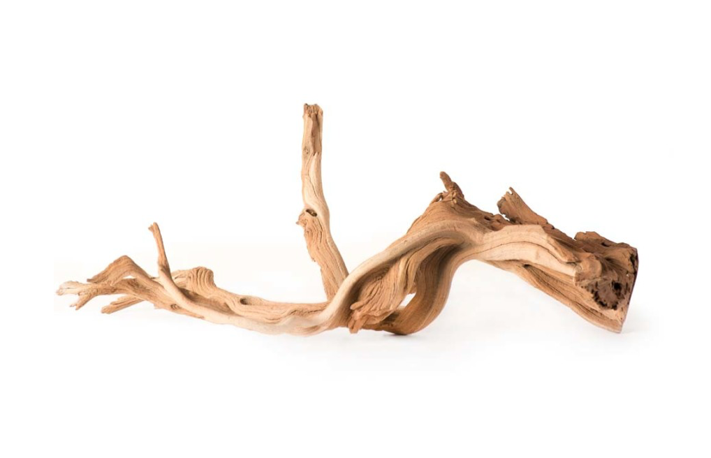 Galapagos Staghorn Wood Manzanita Root Brown, 1ea/13 In - 18 in