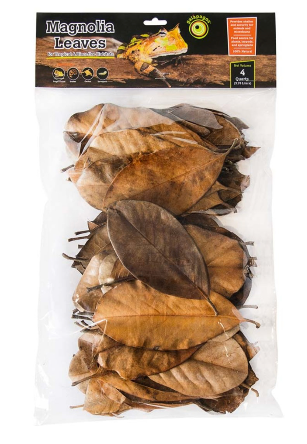 Galapagos Magnolia Leaves for Tropical & Bioactive Habitats Brown, 1ea/4 qt