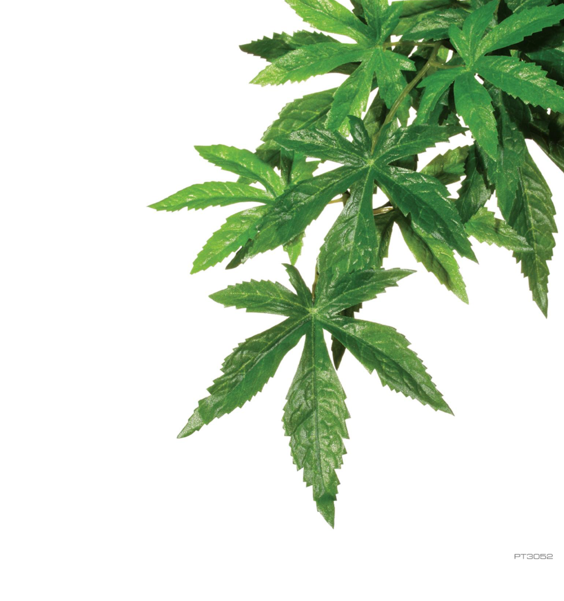 EXO TERRA JUNGLE ABUTILON SILK PLNT
