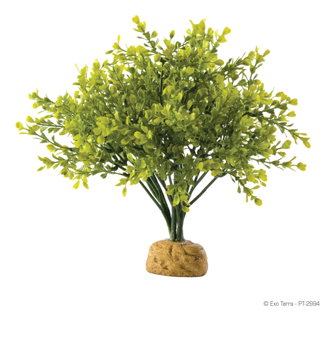 EXO TERRA BOXWD BUSH TERR PLNT