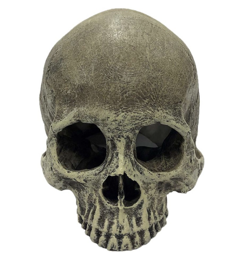 Komodo Half Human Skull Reptile Hideout Gray, 1ea/One Size