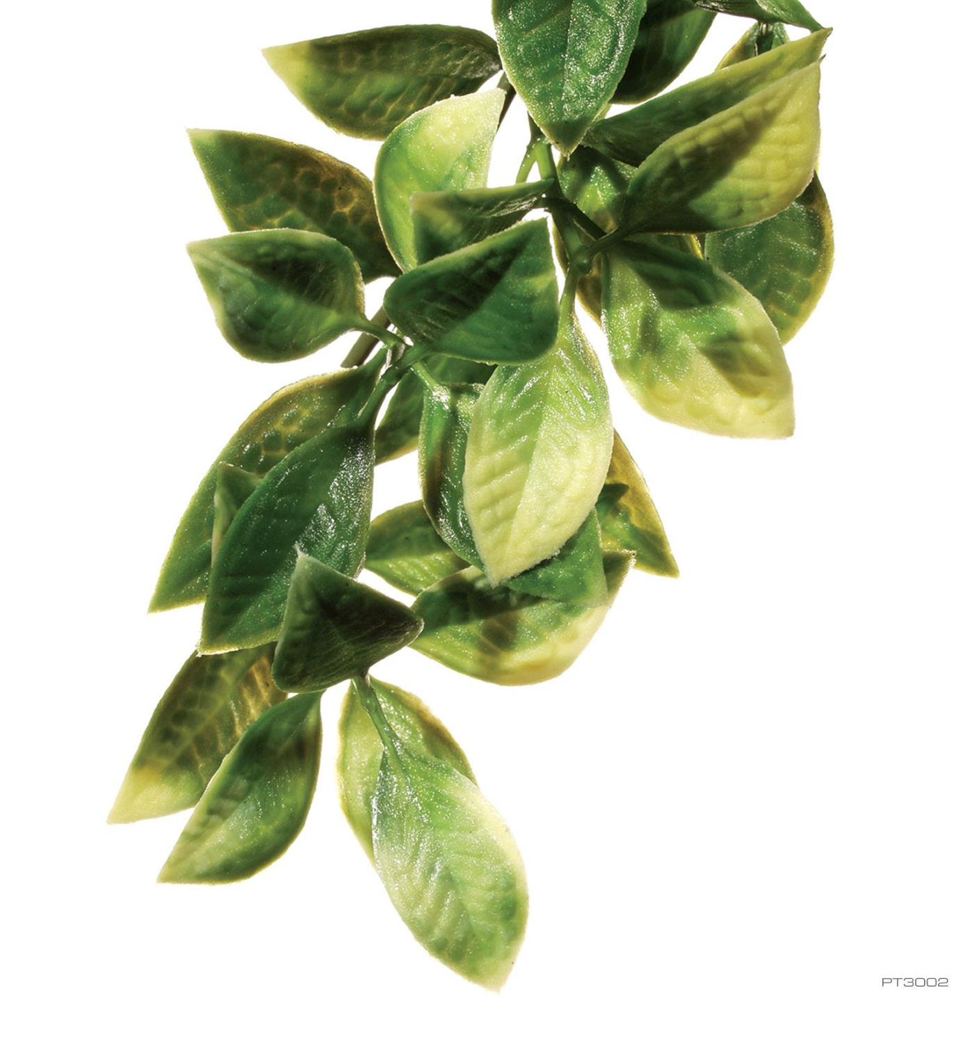 Exo Terra Jungle Plant Plastic "Mandarin"