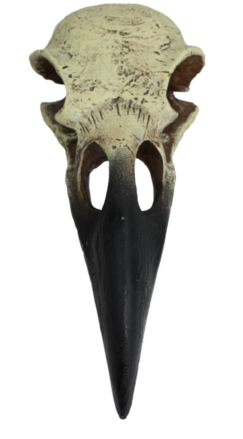 Komodo Raven Skull Hideout 1ea/LG, 18 in