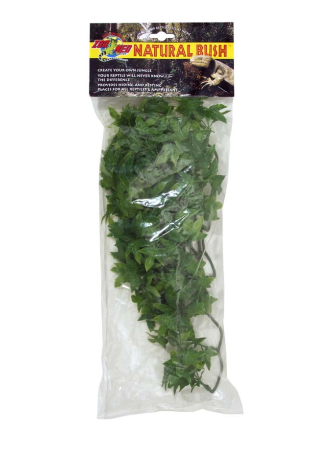 Zoo Med Natural Bush Congo Ivy Plants Green, 1ea/18 in, MD