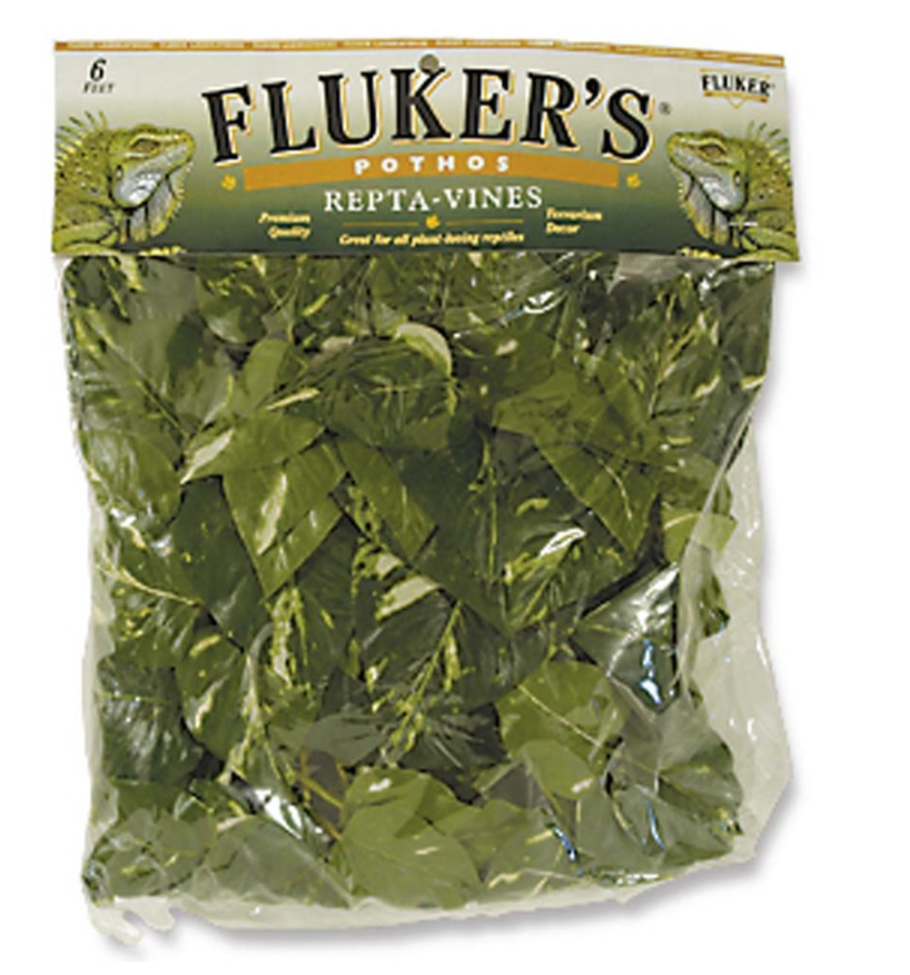 Fluker's Pothos Repta-Vines Green, 1ea/6 ft