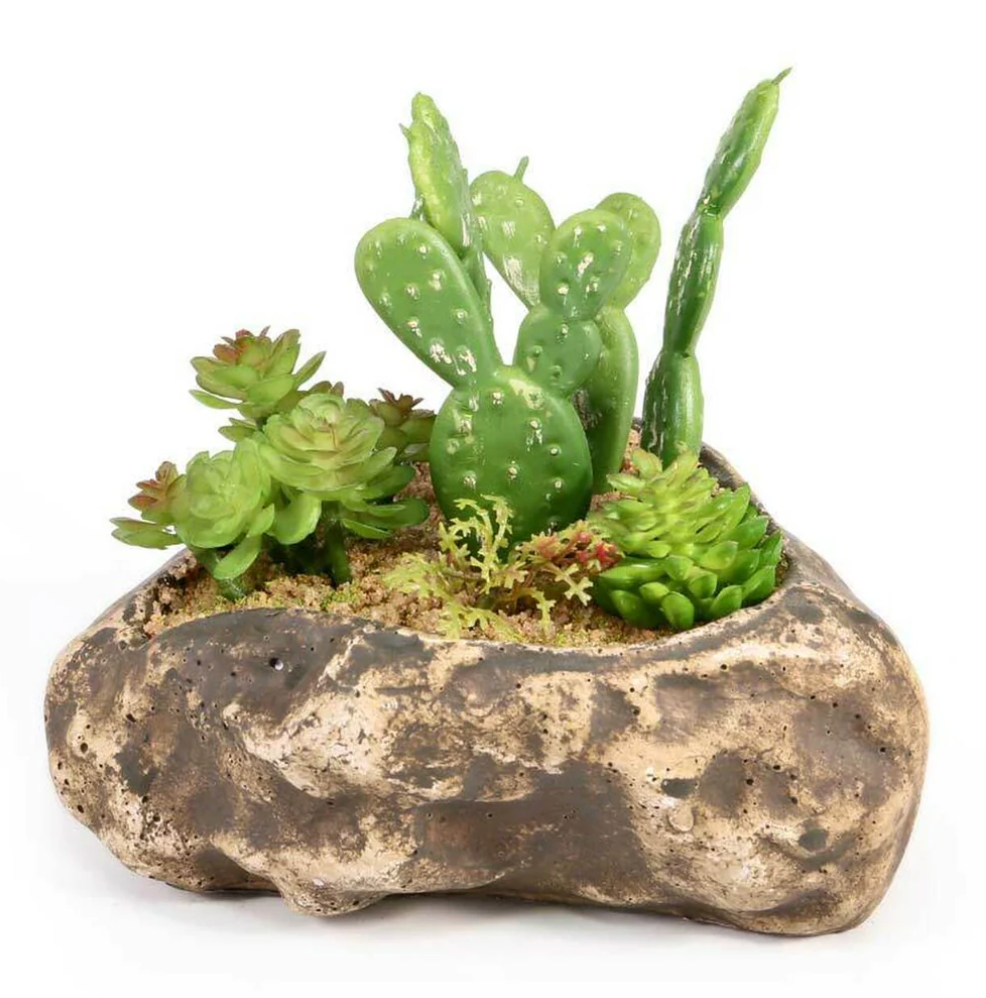Succulent Garden