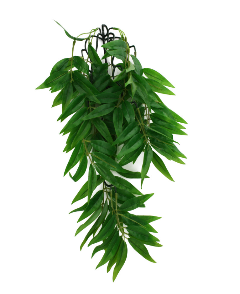 Komodo Bamboo Hanging Plant