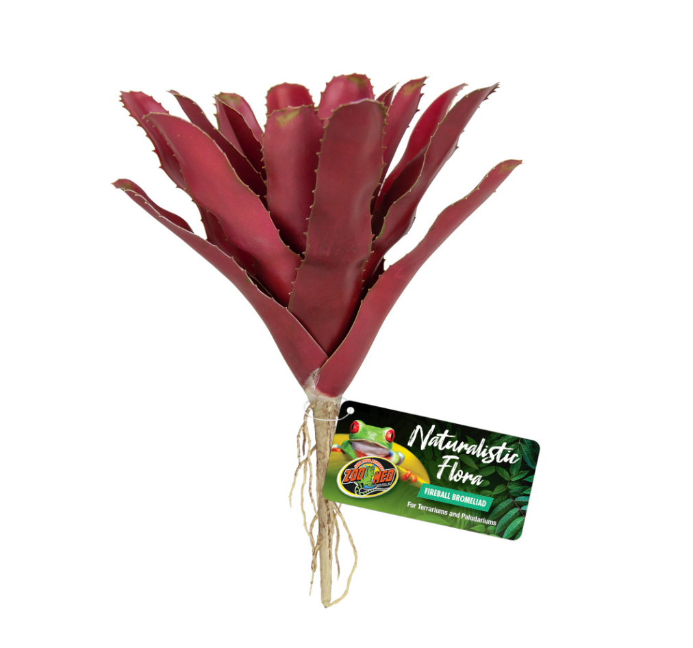 Zoo Med Naturalistic Flora Fireball Bromeliad Terrarium Plant