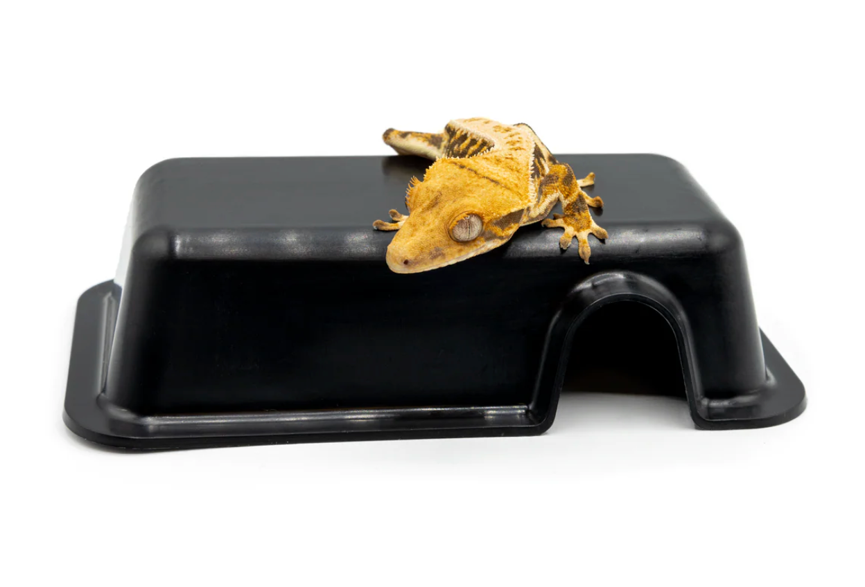 Reptile Hide Box