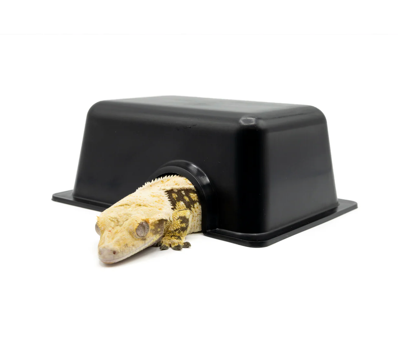Reptile Hide Box