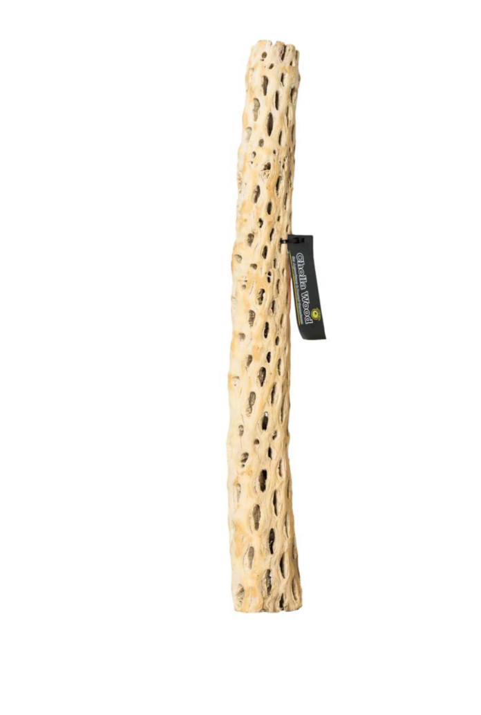 cholla wood