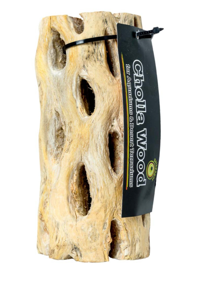 cholla wood