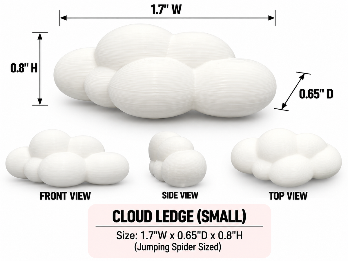 Cloud Ledge For Jumping Spiders