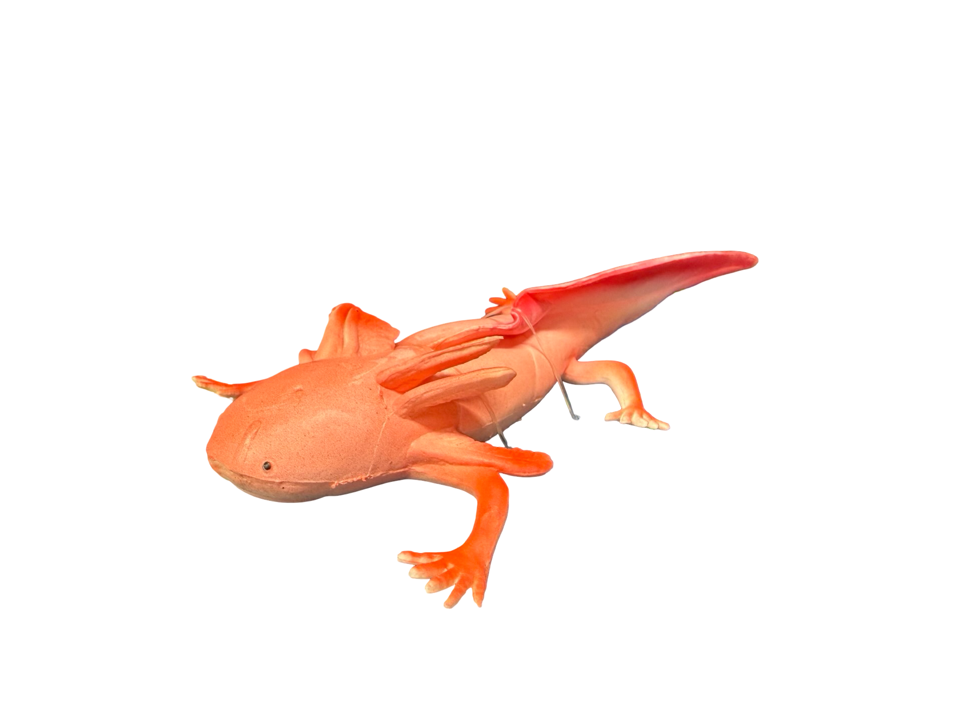 Texas Toy Distribution - Pink Axolotl Squishy and Stretchy Toy