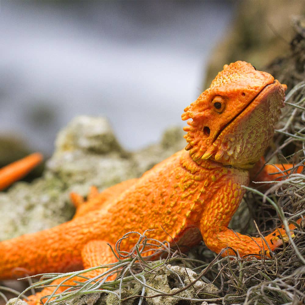 Bearded Dragon Decorative Figurine