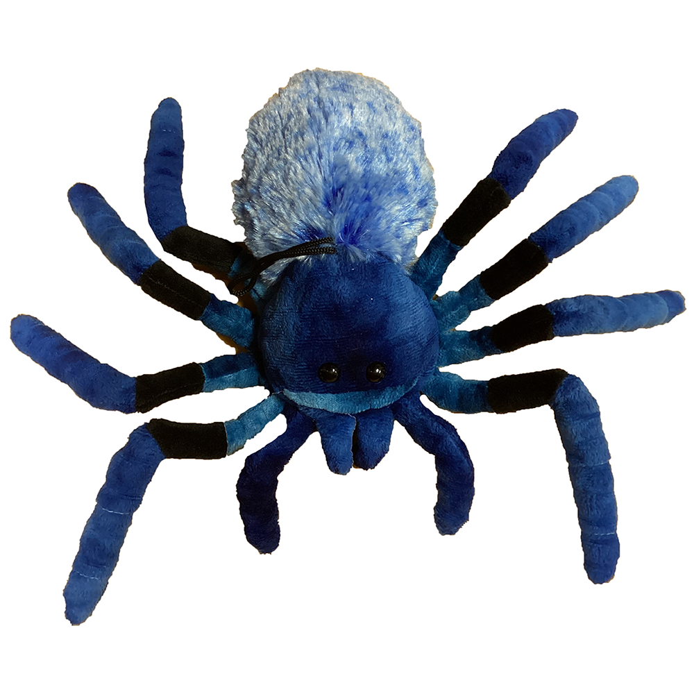 Texas Toy Distribution - Blue Tarantula 9" Plush Spider Stuffed Animal, 2 Styles