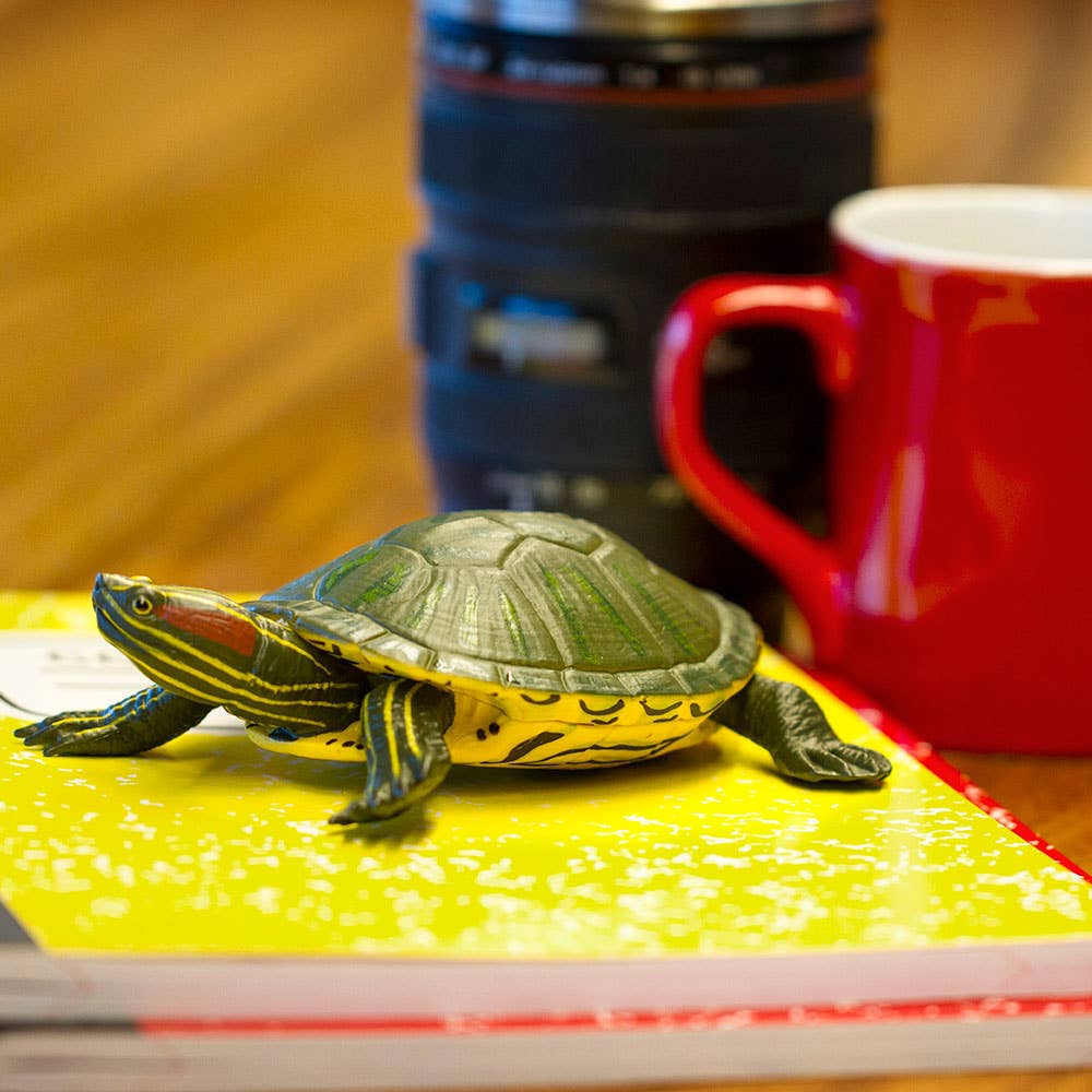 Safari Ltd. - Red - Eared Slider Turtle - 269529