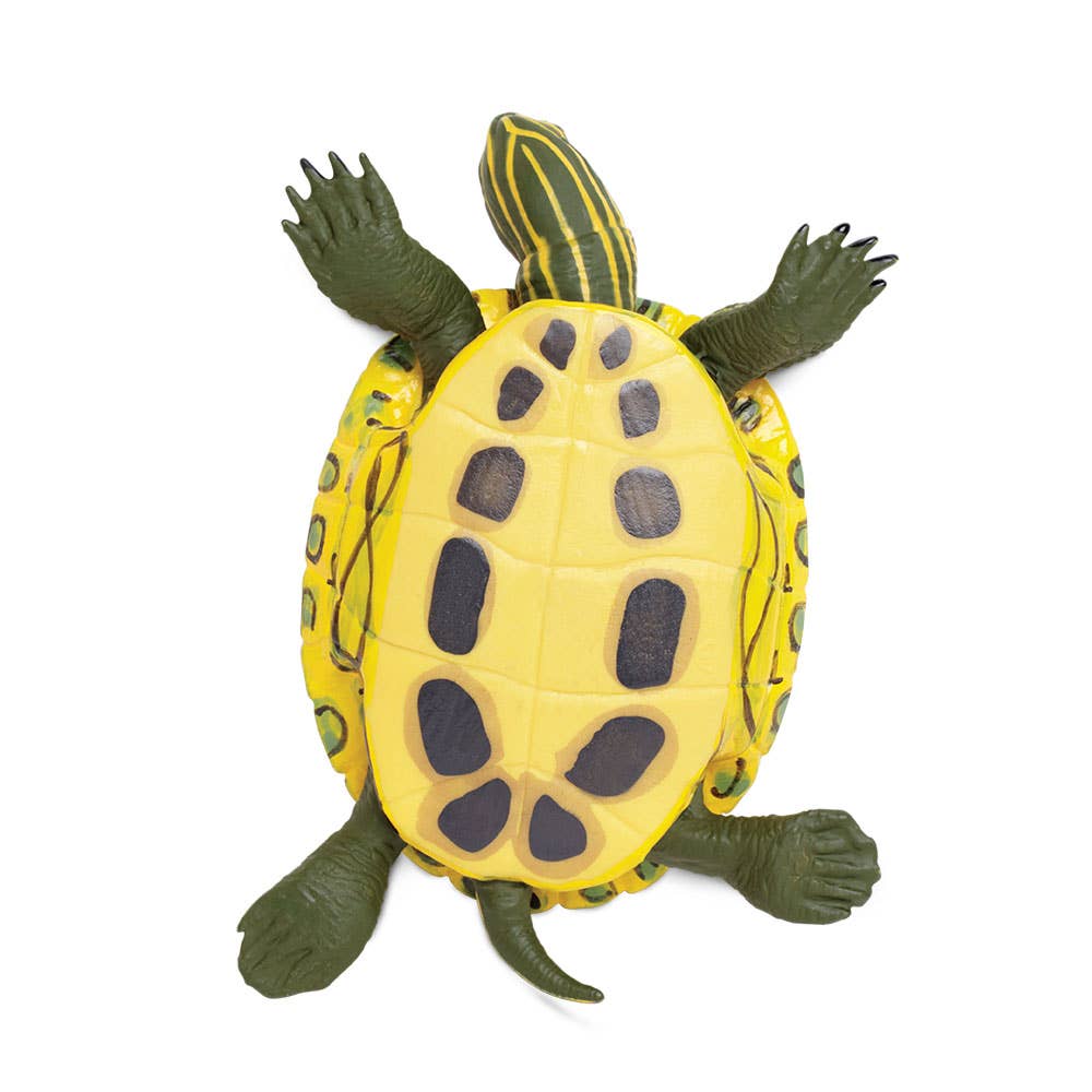 Safari Ltd. - Red - Eared Slider Turtle - 269529