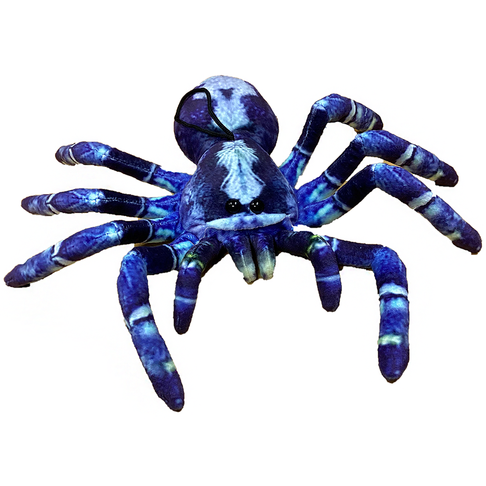 Texas Toy Distribution - Blue Tarantula 9" Plush Spider Stuffed Animal, 2 Styles