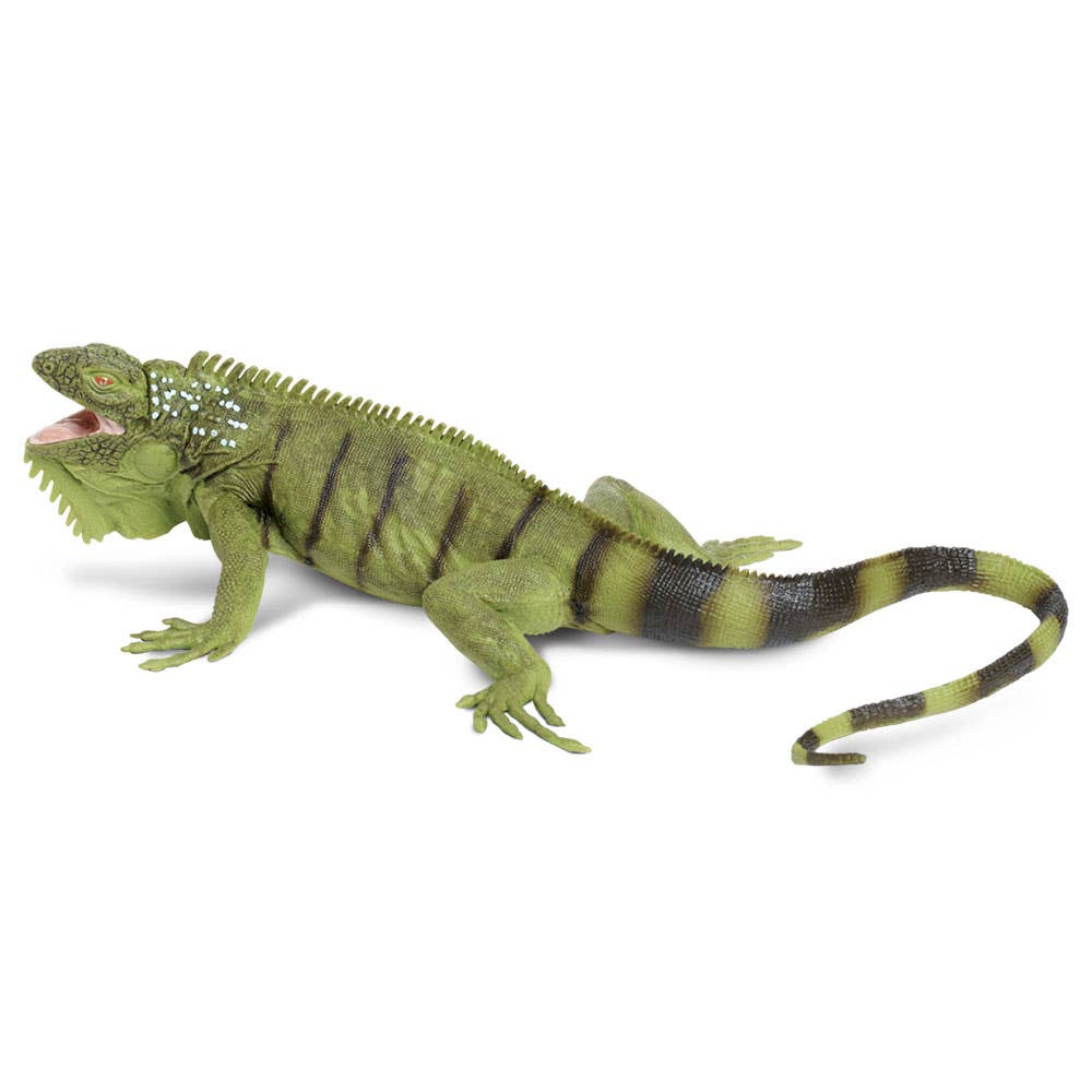 Safari Ltd. - Iguana - 267729