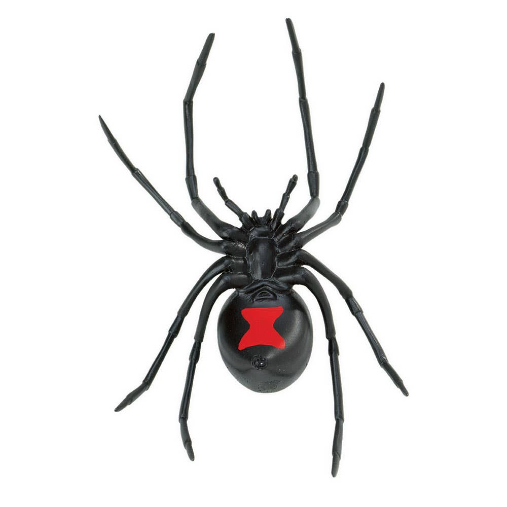 Black Widow Spider