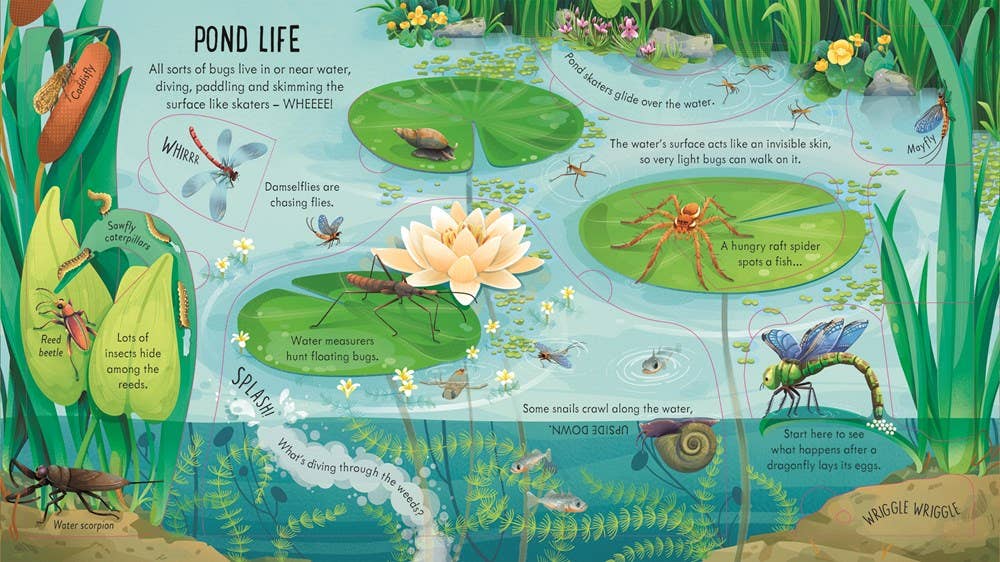 HarperCollins - Look Inside Bug World : Usborne