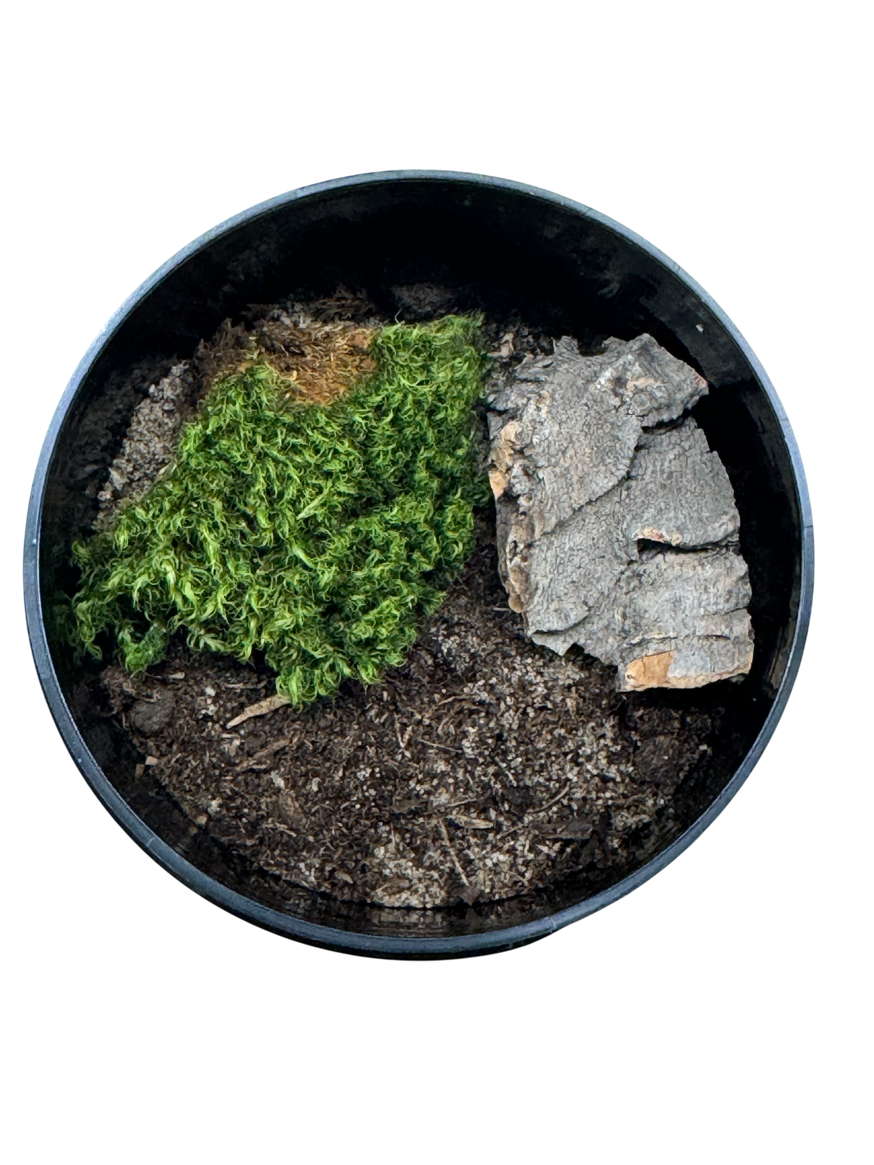 Substrates and Enclosure Essentials