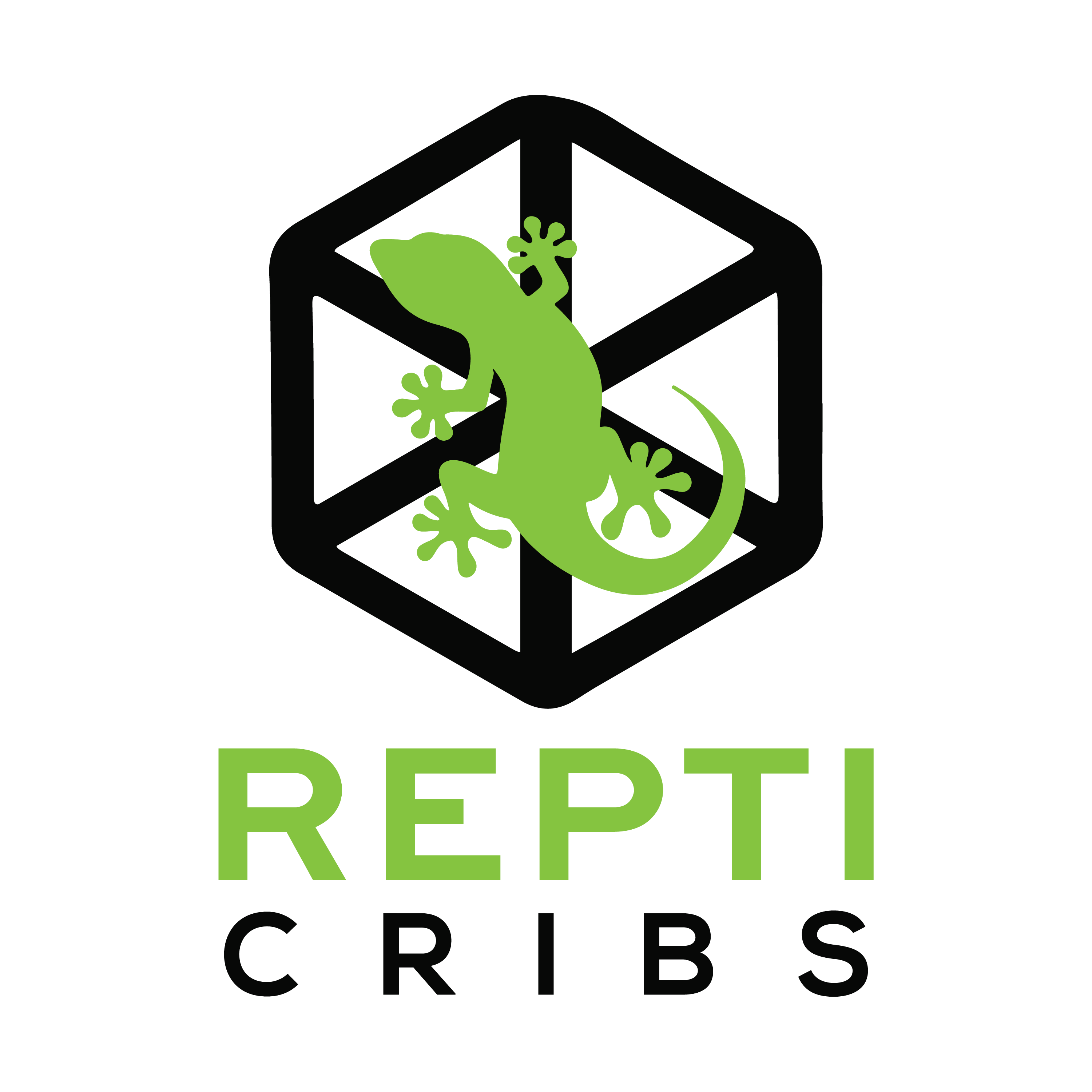 Reptiles and Amphibians