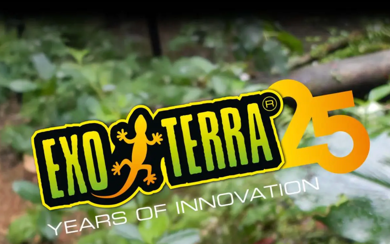 Exo Terra Reptile supplies