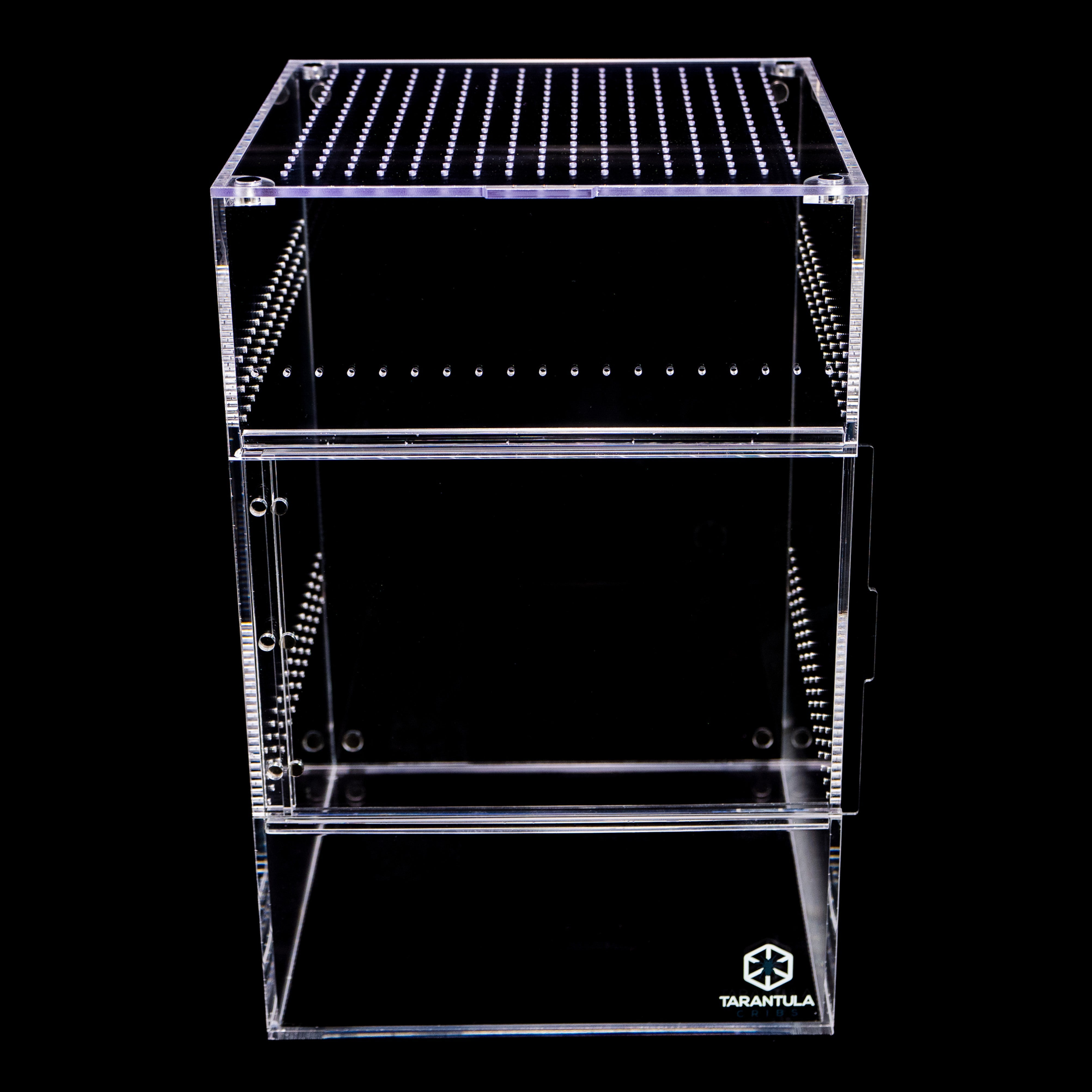 Enclosures for Avicularia, Caribena & Arboreal Tarantulas