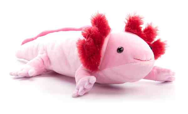 The Petting Zoo - 15" (39cm) Wild Onez Small Axolotl Sea Life
