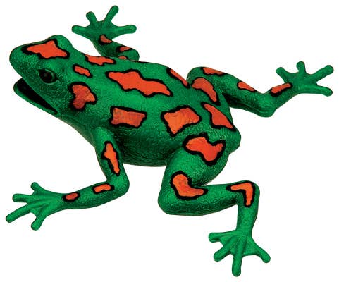 Toysmith - Frog Squishimals Squishy Toys