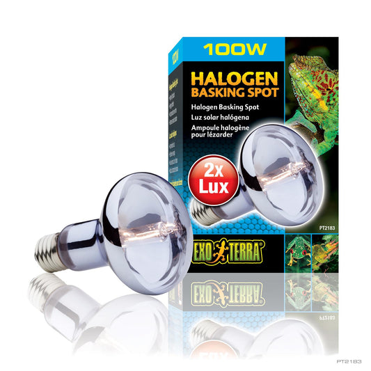 Exo Terra Halogen Basking Spot Lamp 100 watt