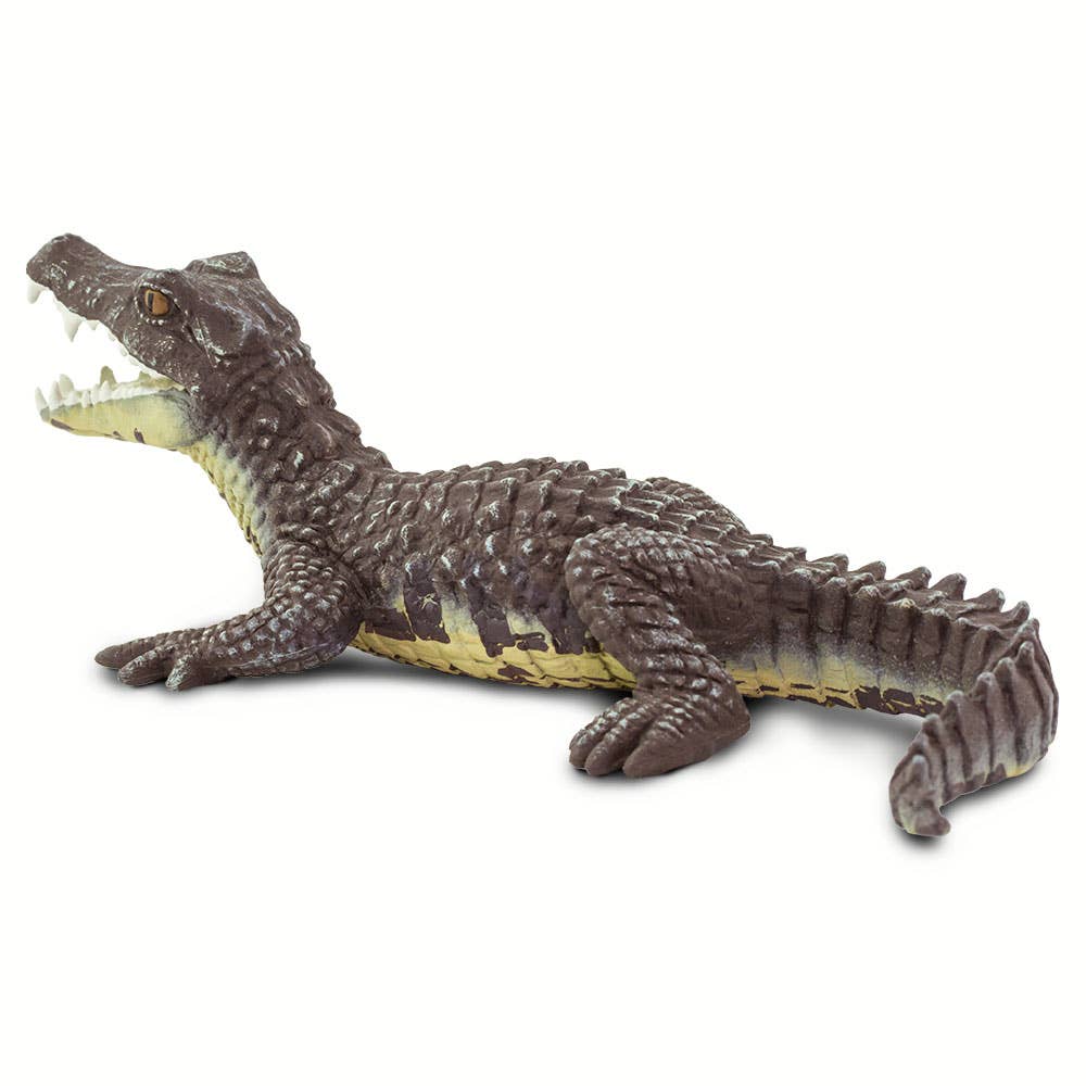 Caiman - 100238