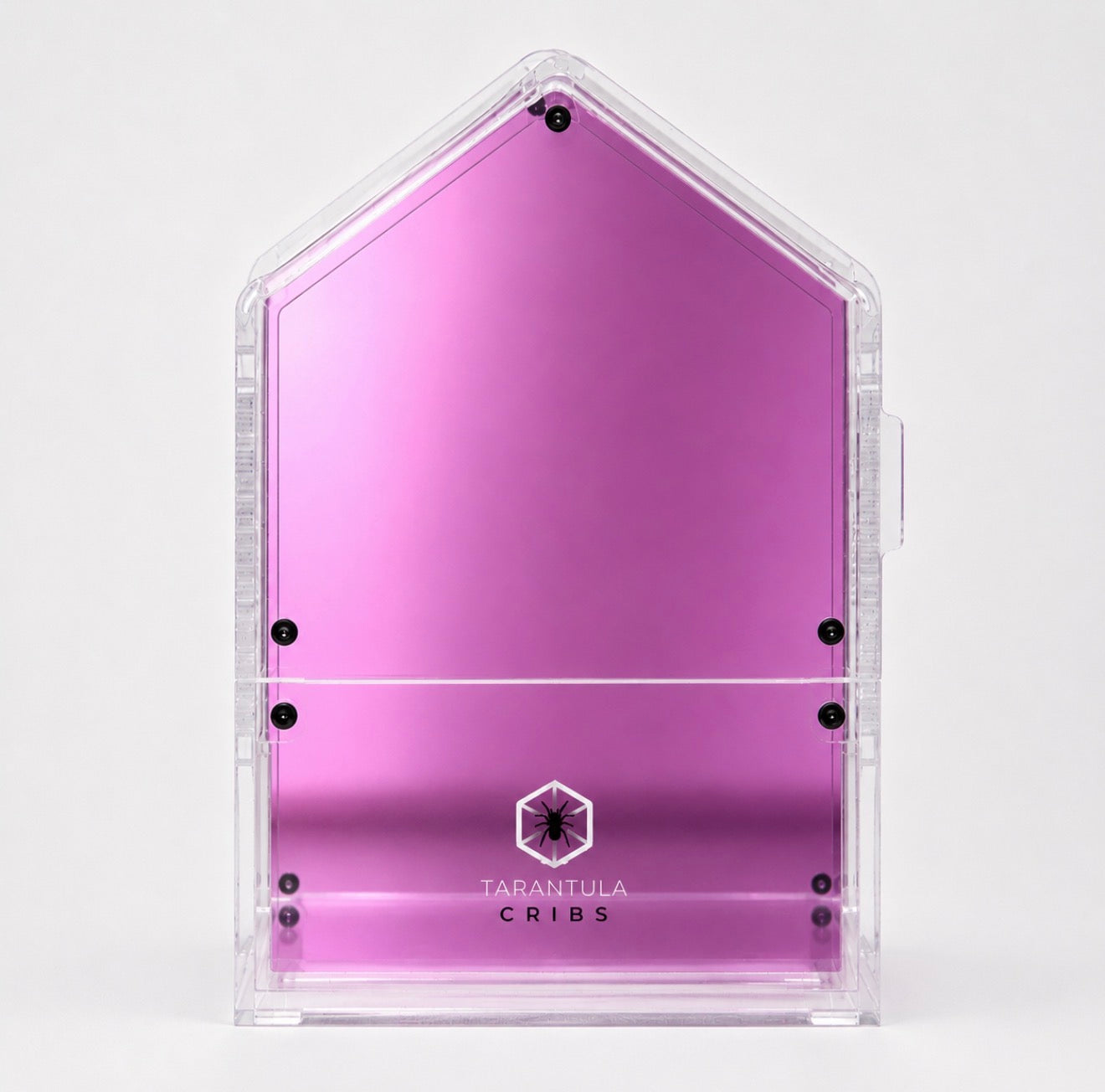 Canopy CORE 334| Jumping Spider Enclosure with Removable Habitat Drawer