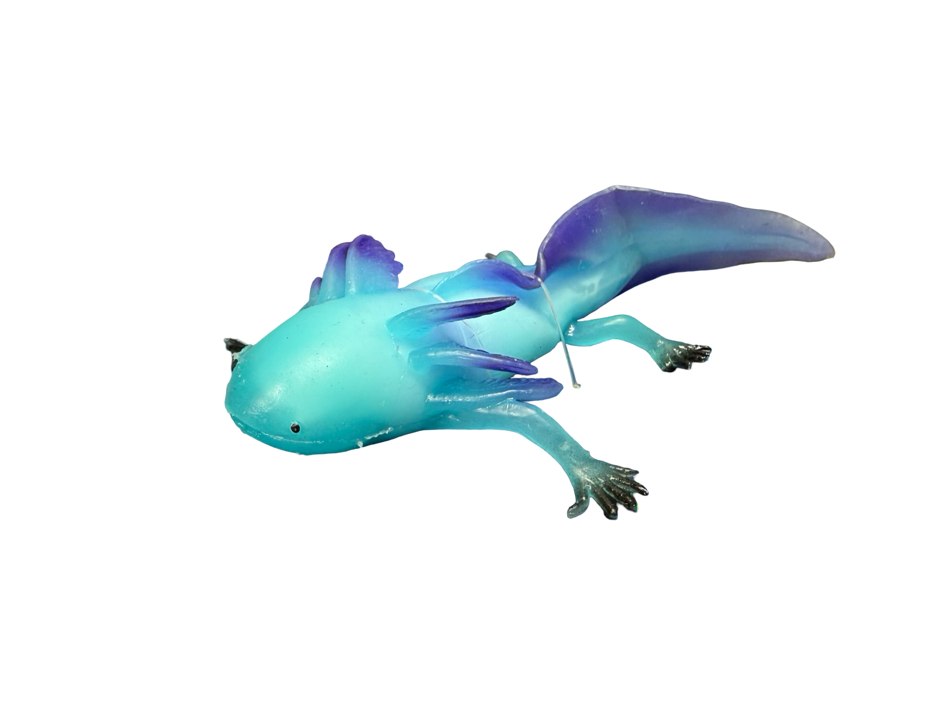 Texas Toy Distribution - Blue Axolotl Squishy and Stretchy Toy