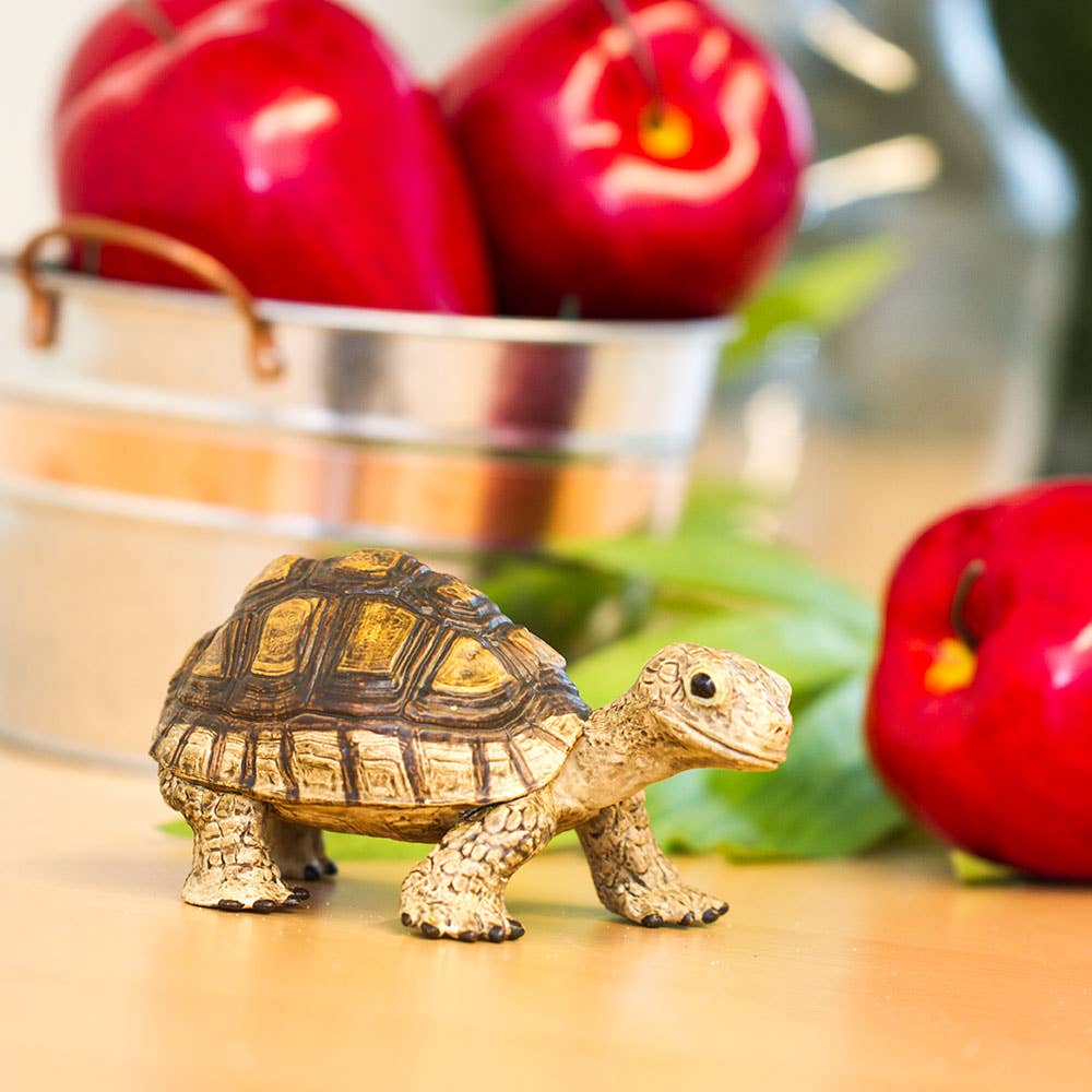 Safari Ltd. - Tortoise - 258629