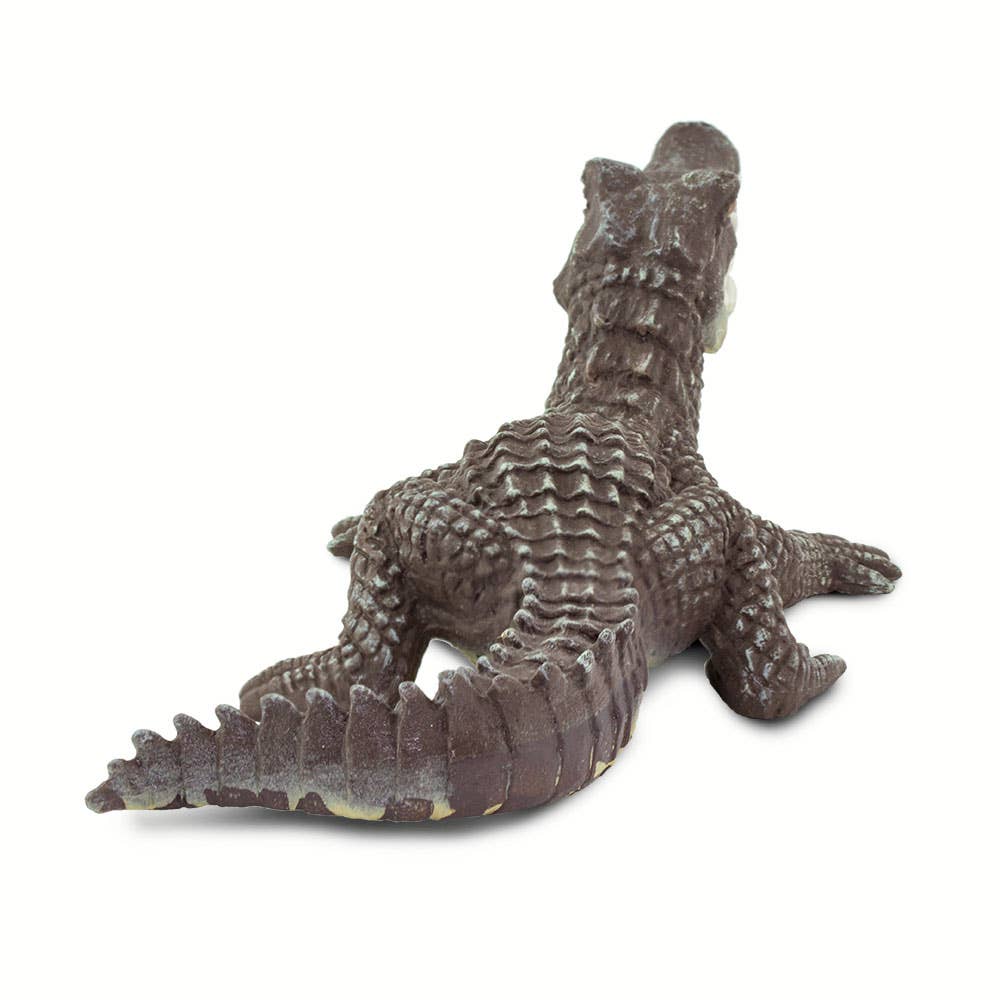 Caiman - 100238