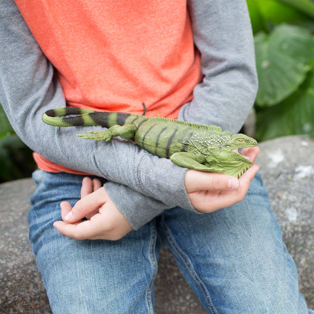 Safari Ltd. - Iguana - 267729