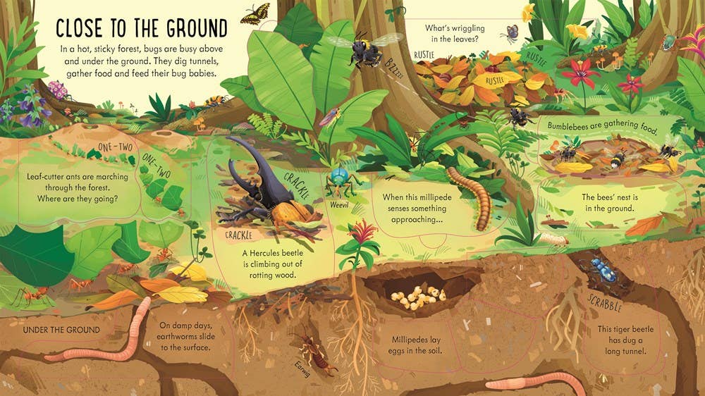 HarperCollins - Look Inside Bug World : Usborne
