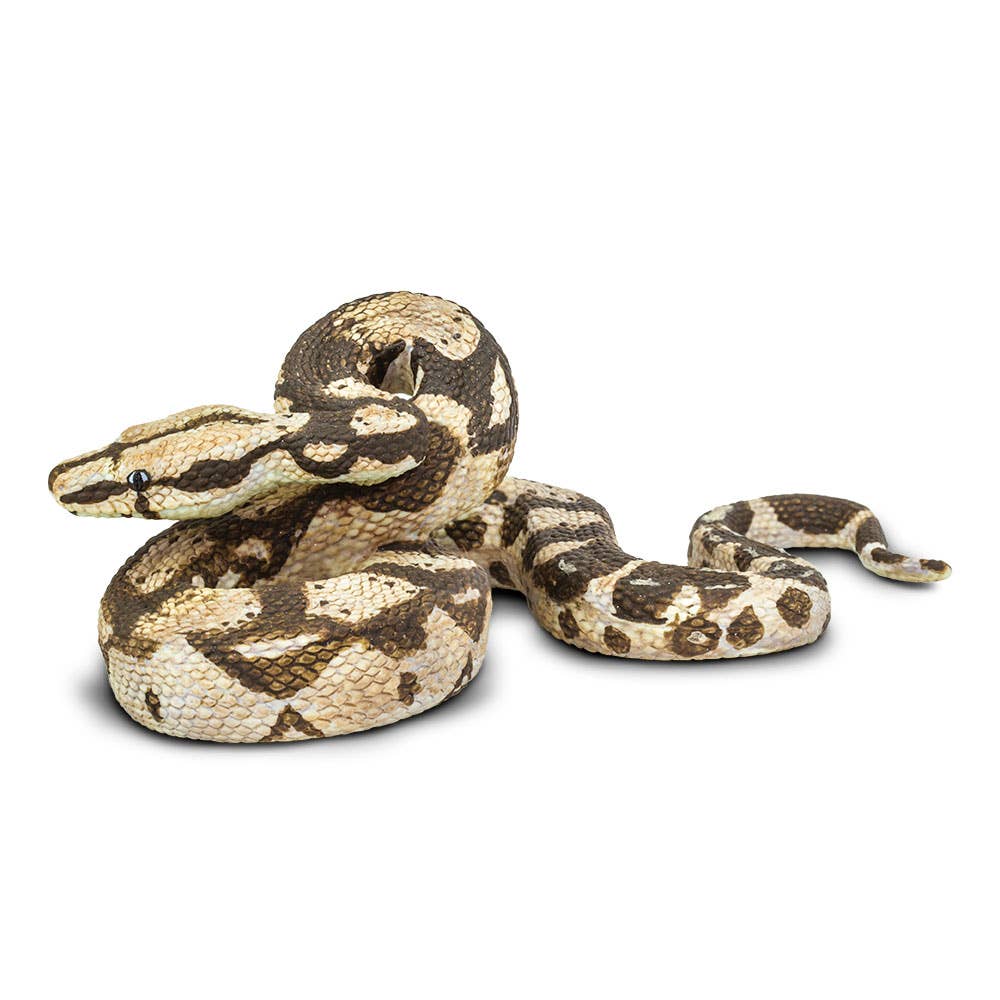 Safari Ltd. - Boa Constrictor Figurine Toy
