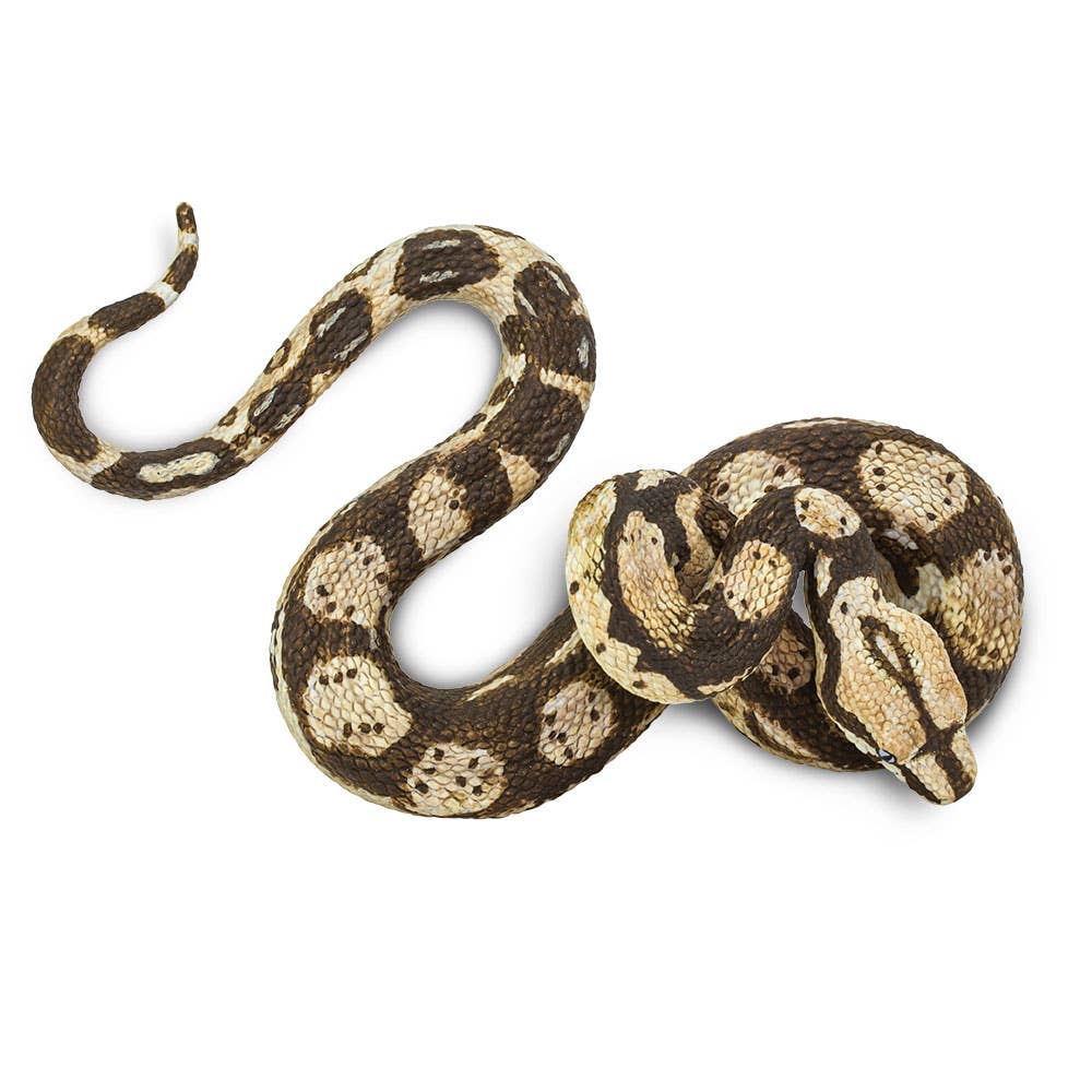 Safari Ltd. - Boa Constrictor Figurine Toy